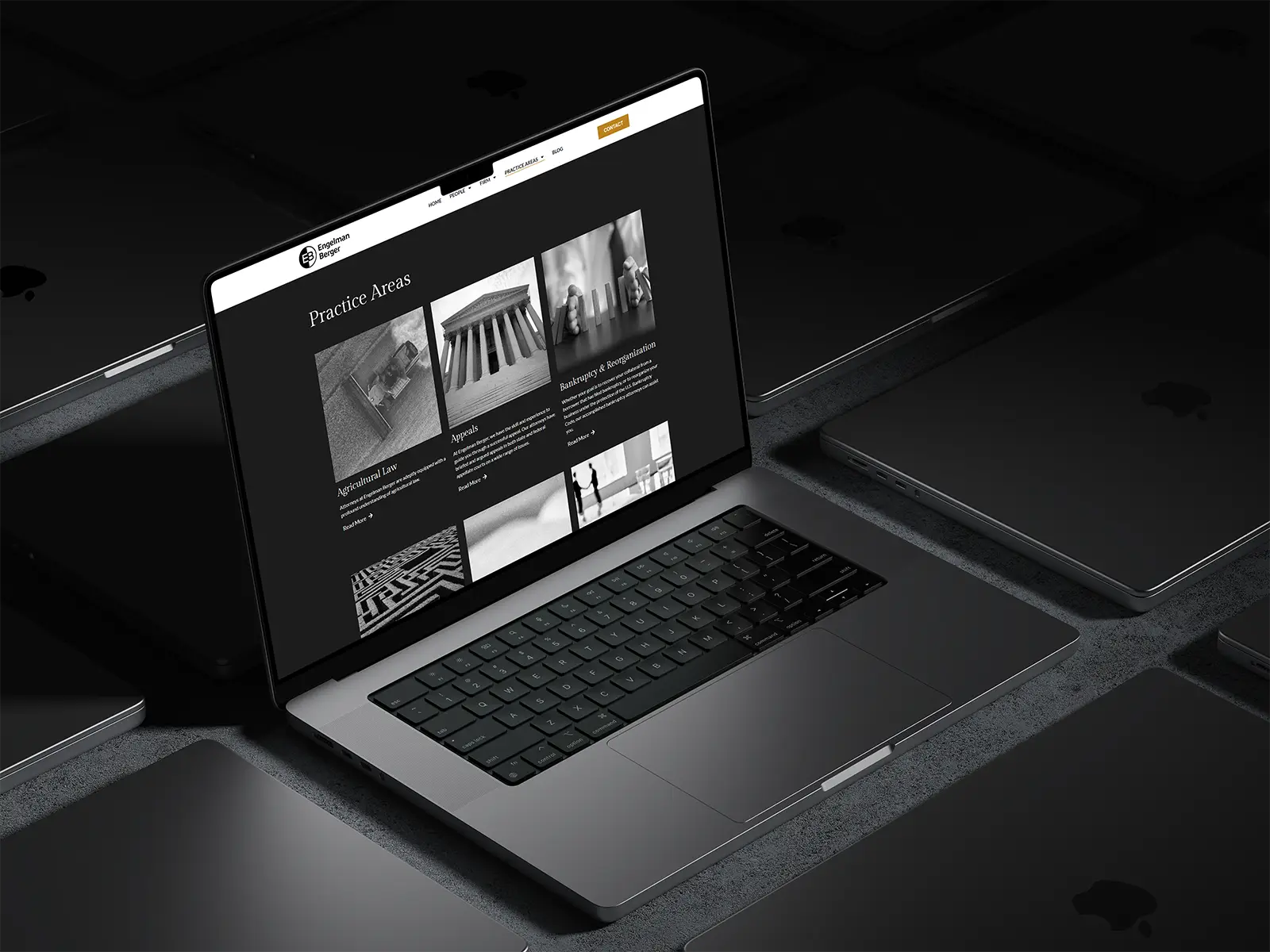 Engelman Berger Website Mockup Practice Areas