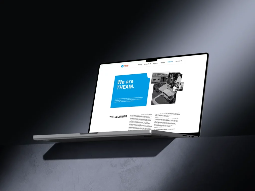THEAM Website Mockup