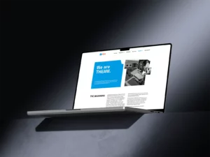 THEAM Website Mockup