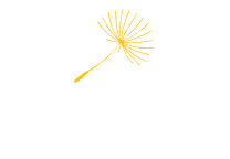Rootless Agency