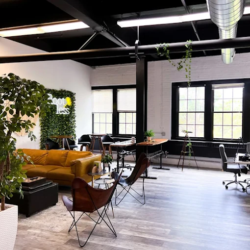 Inside the Rootless Agency studio: a lounge with a leather sofa, the Rootless logo on a green moss wall, desks under tall windows